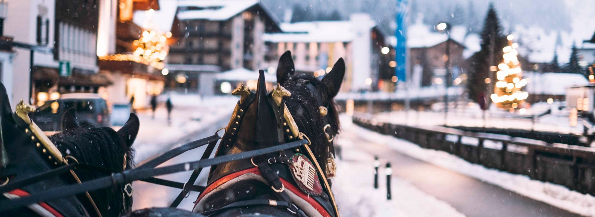 Pferdeschlittenfahrt im Winter
