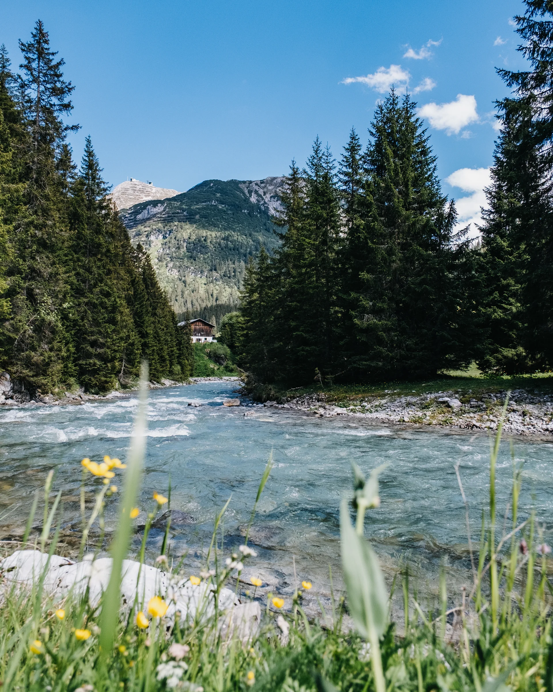 Hotel Aurora: der perfekte Ausgangspunkt für einen Fischerausflug am Lechbach Bergfluss mit grünem Wald und Haus bei klarem blauem Himmel