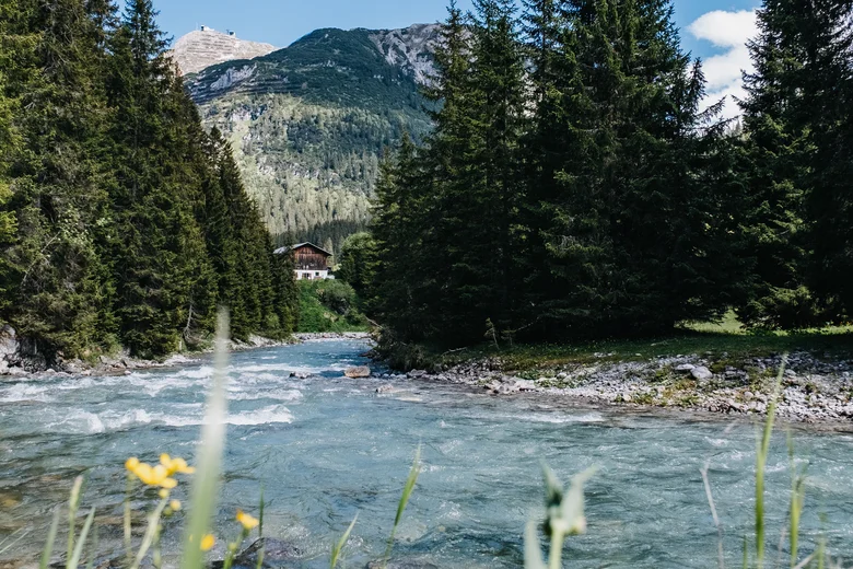 Bergfluss mit grünem Wald und Haus bei klarem blauem Himmel