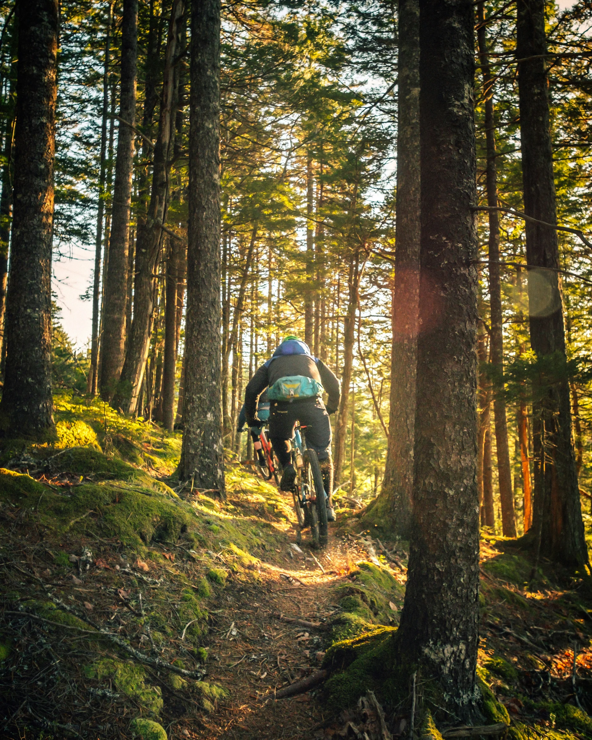 MTB in Lech am Arlberg
