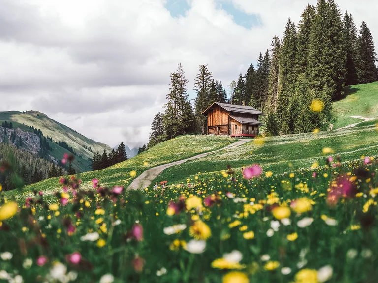 Holzhaus auf einem Hügel mit Wildblumenwiese und Berglandschaft im Hintergrund