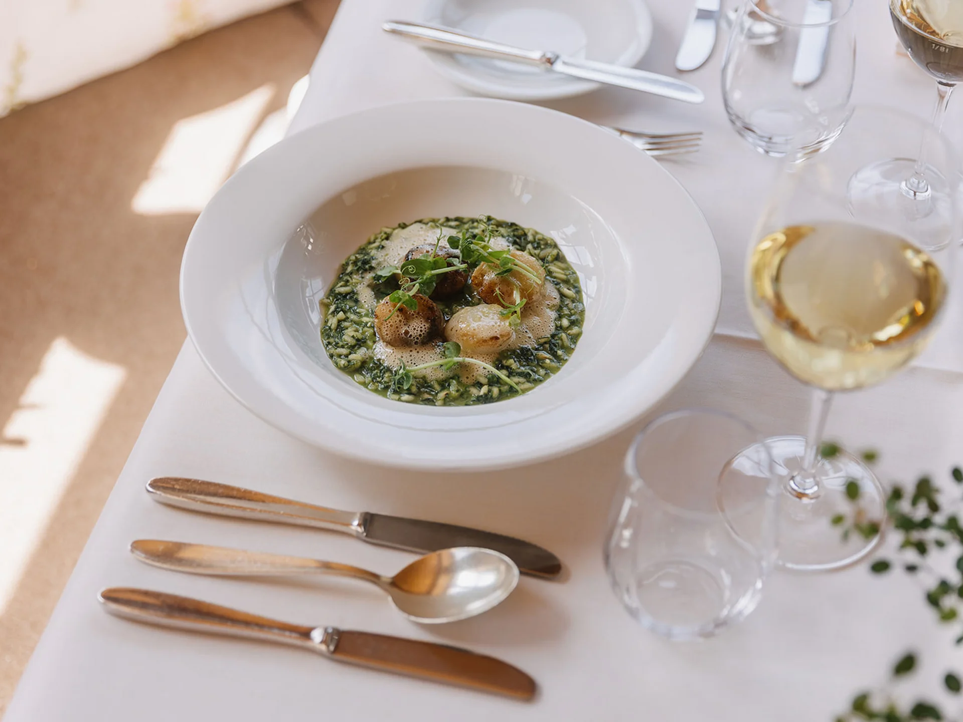 Gourmet dish with shrimp and green risotto served on a white table
