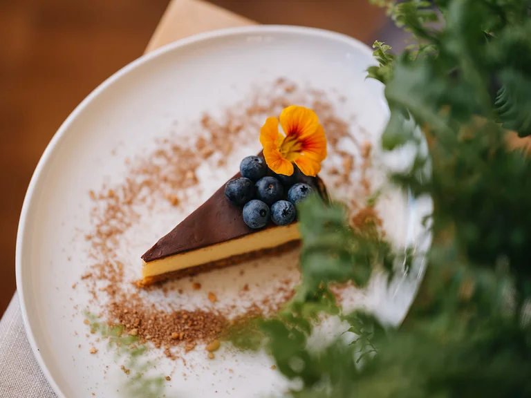 Ein Stück Käsekuchen mit Schokoladenglasur, Heidelbeeren und Blume auf weißem Teller