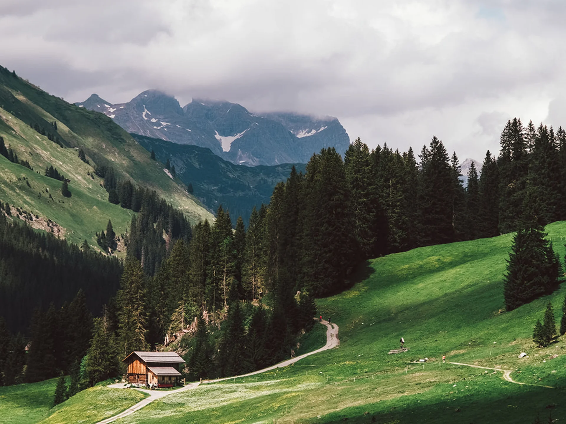 Green meadow with cabin and forested hills under cloudy sky