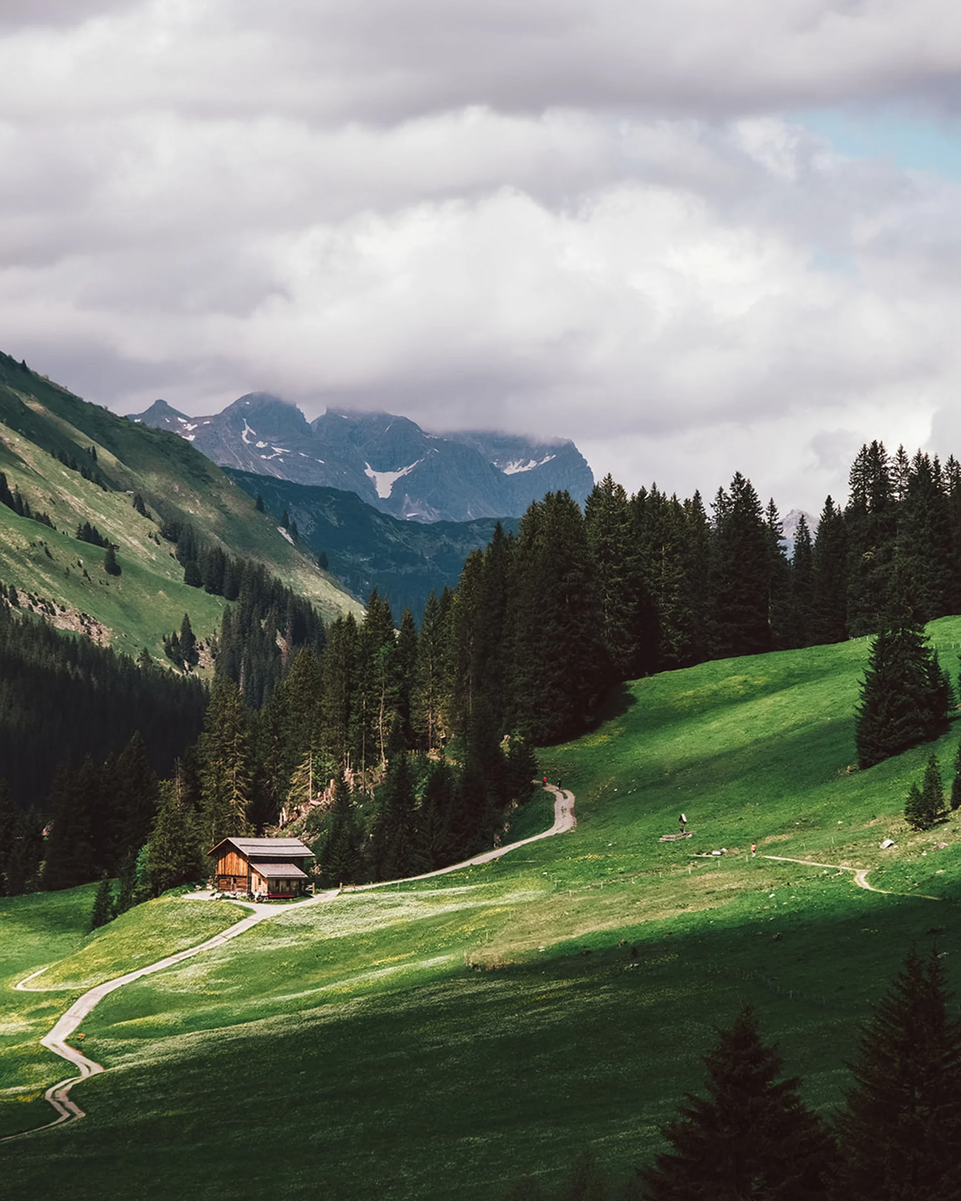 Grüne Almwiese mit Hütte und bewaldeten Hügeln unter bewölktem Himmel