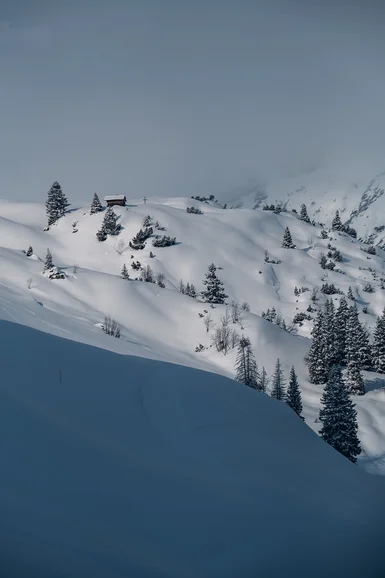 Schneebedeckte Berge mit Tannen und einer kleinen Hütte unter bewölktem Himmel