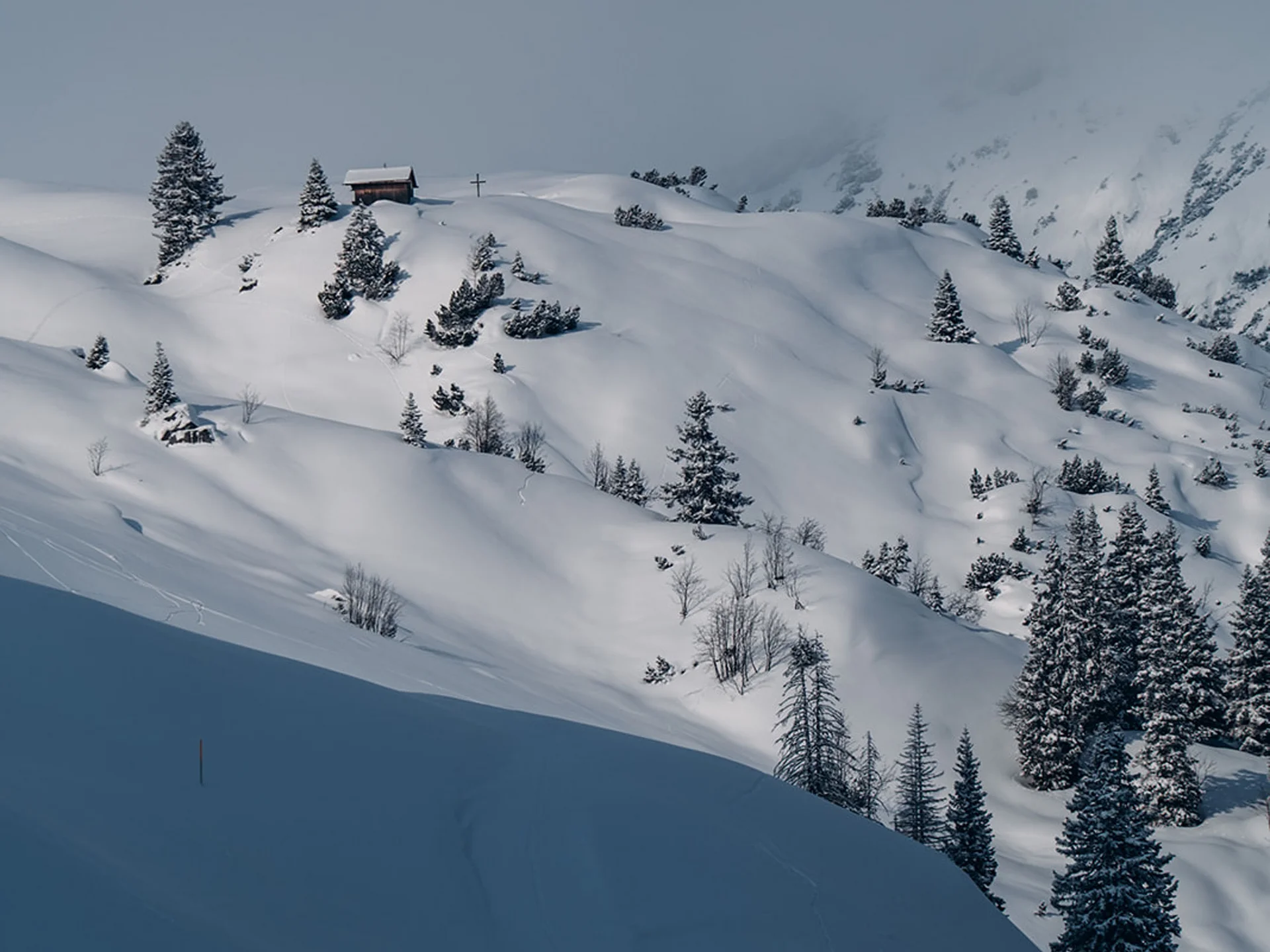 Snow-covered mountains with pine trees and a small cabin under cloudy sky