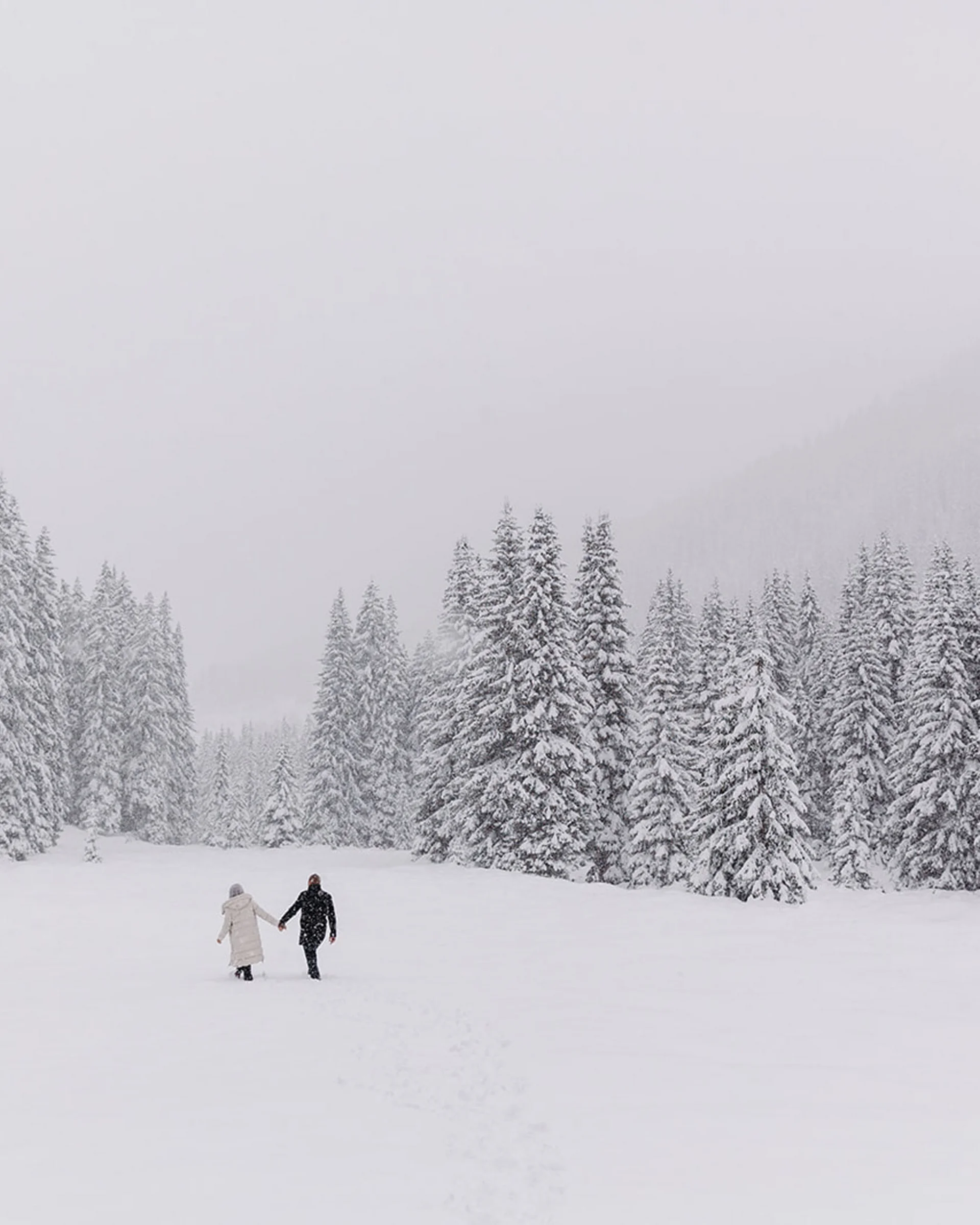 Paar hält Händchen im schneebedeckten Winterwald