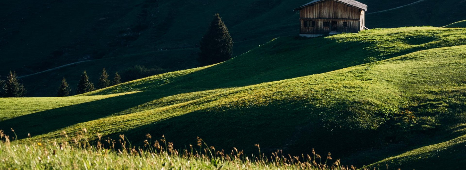 Almwiese mit einer urigen Hütte