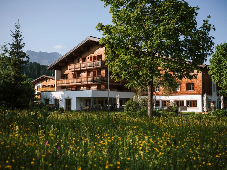 Haus mit Holzfassade neben Bäumen und Wiese mit gelben Blumen unter blauem Himmel