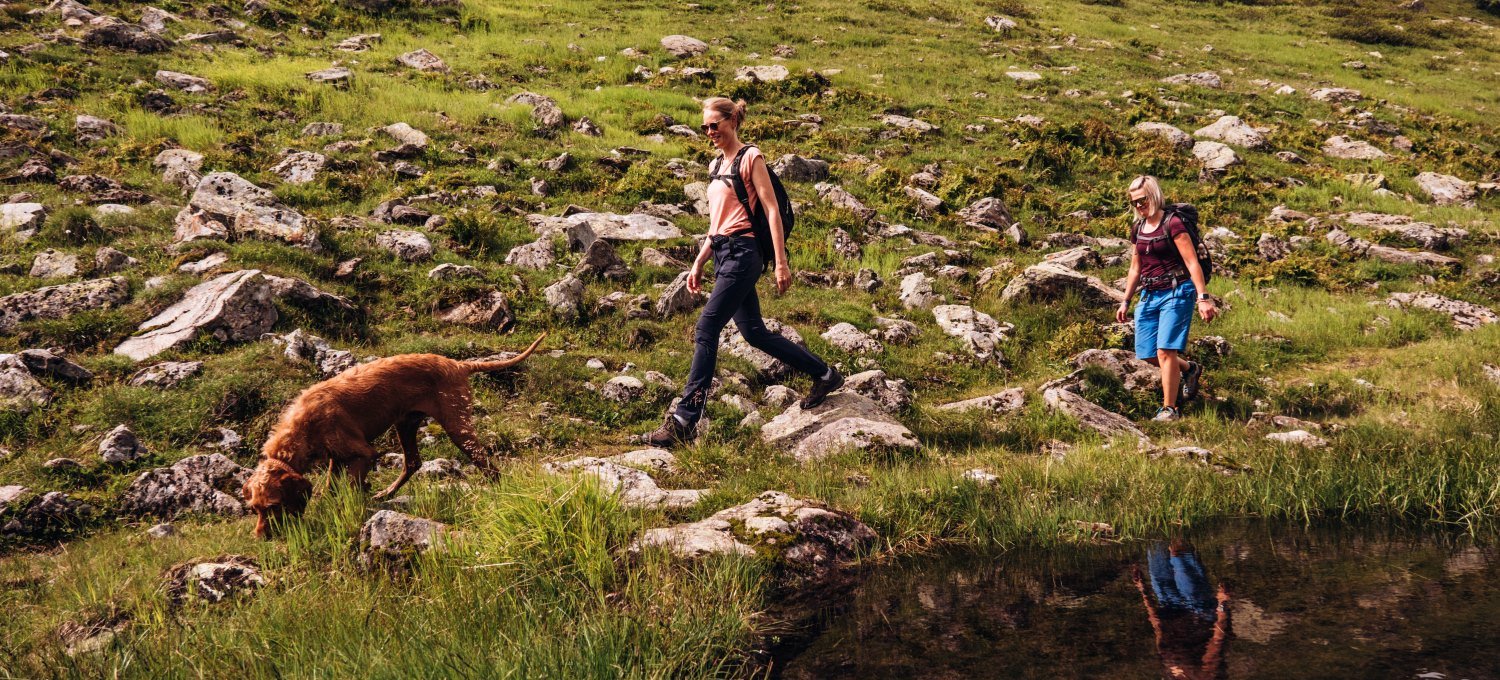 Zwei Personen wandern mit einem Hund durch die Berge
