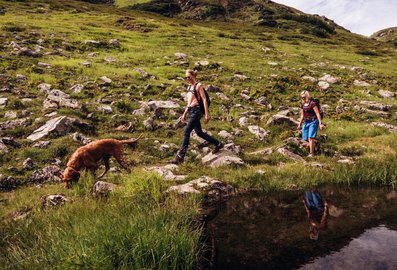 Zwei Personen wandern mit einem Hund durch die Berge
