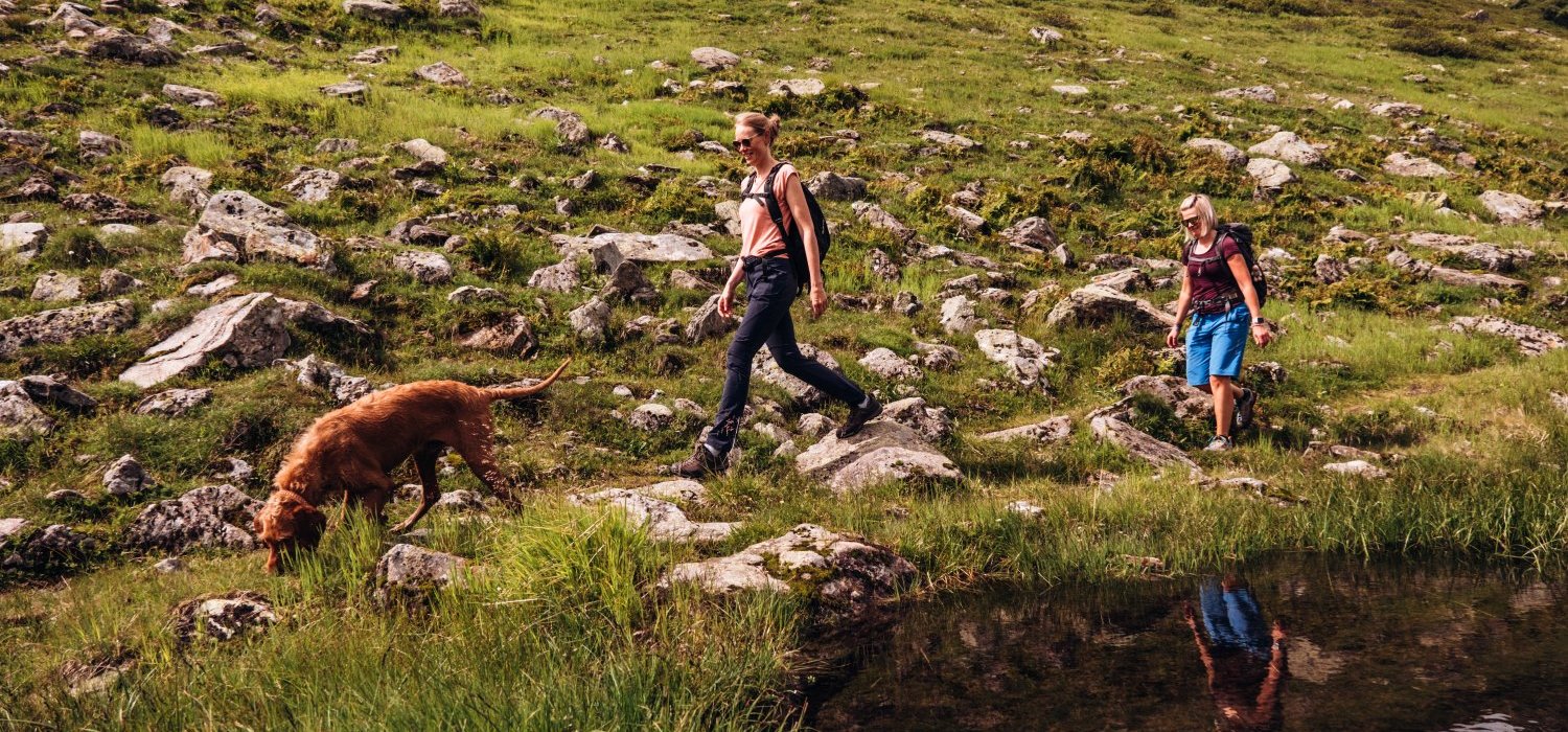 Zwei Personen wandern mit einem Hund durch die Berge
