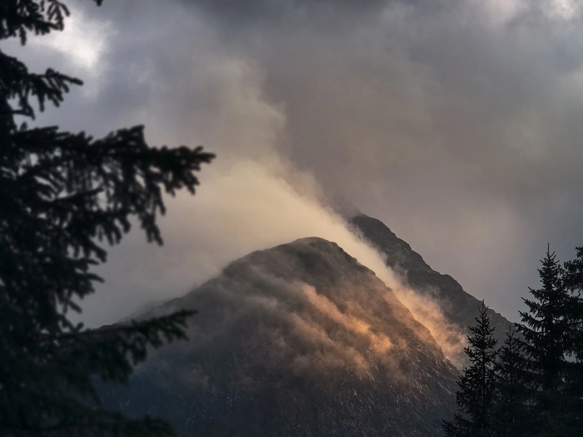 Mountain shrouded in mist with trees in the foreground under soft light