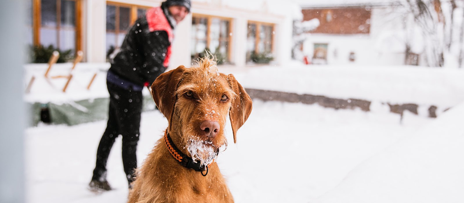 Mann und Hund im Schnee
