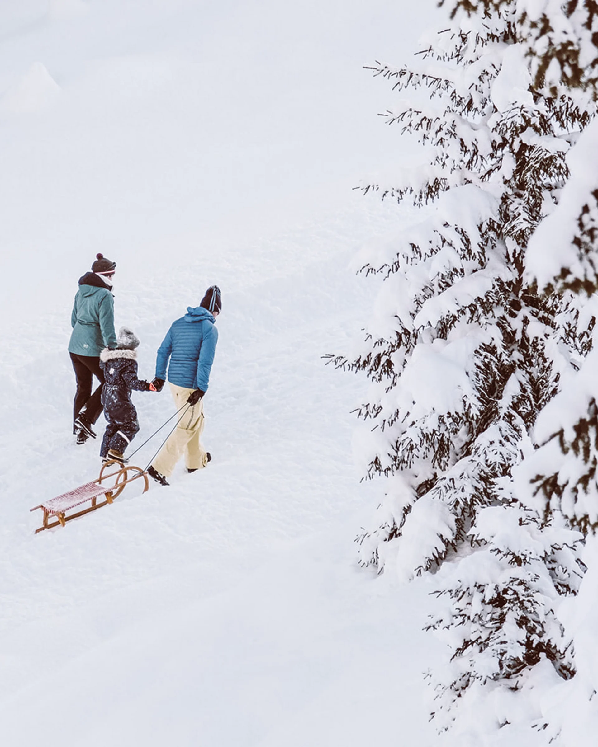 Drei Personen im Winter ziehen einen Schlitten durch verschneite Landschaft