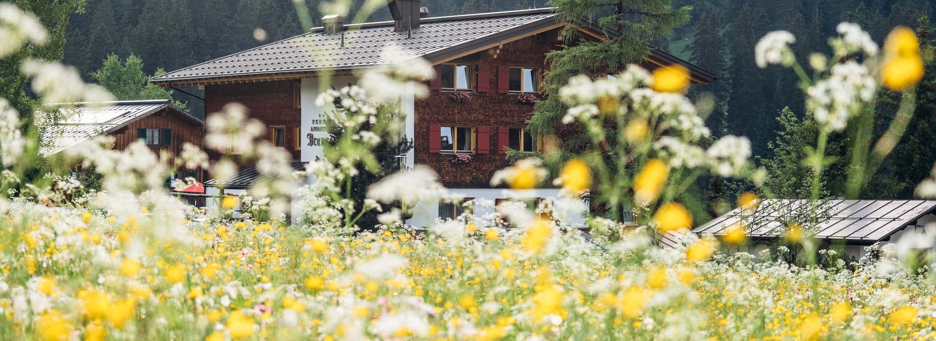 Haus Braunarl mit einer Blumenwiese im Vordergrund.