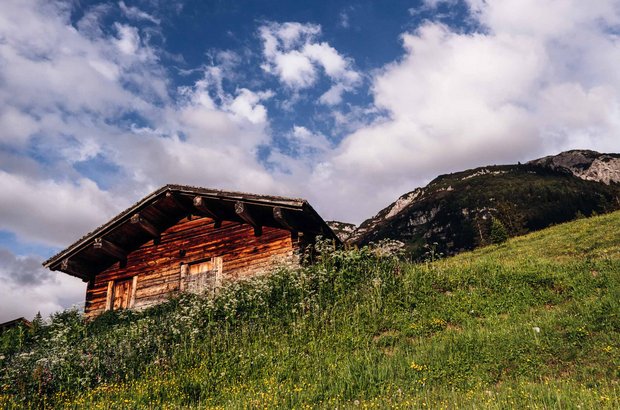 Eine Hütte in einer Wiese. 