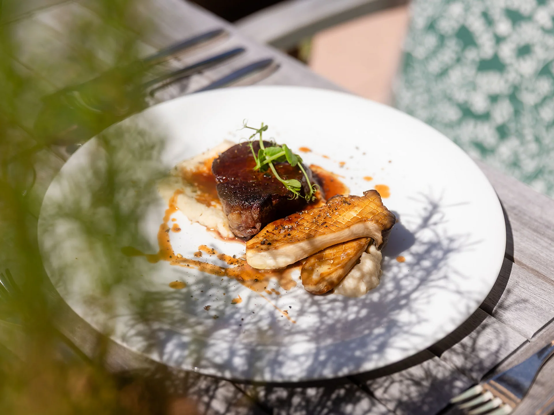 Cooked meat and mushrooms on white plate with sauce and herbs