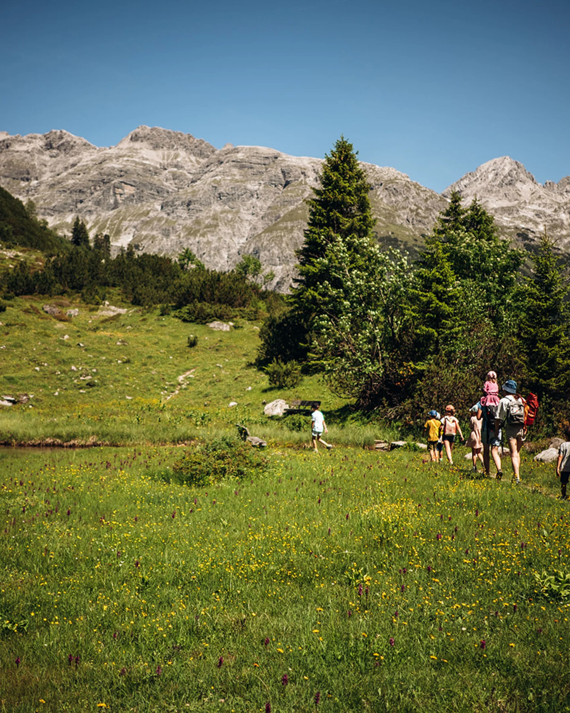 Wandergruppe läuft über eine blühende Bergwiese mit Bergen im Hintergrund