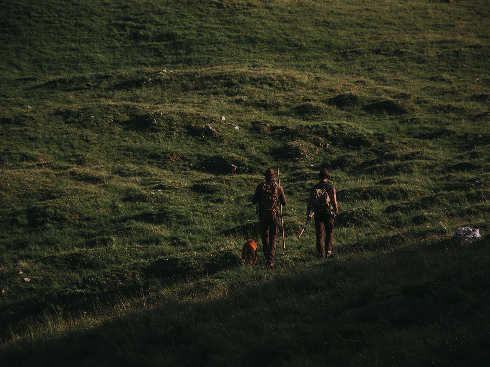 Two hunters walking with dog across grassy hills