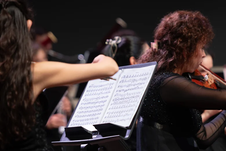 Orchestra with violinists performing on stage