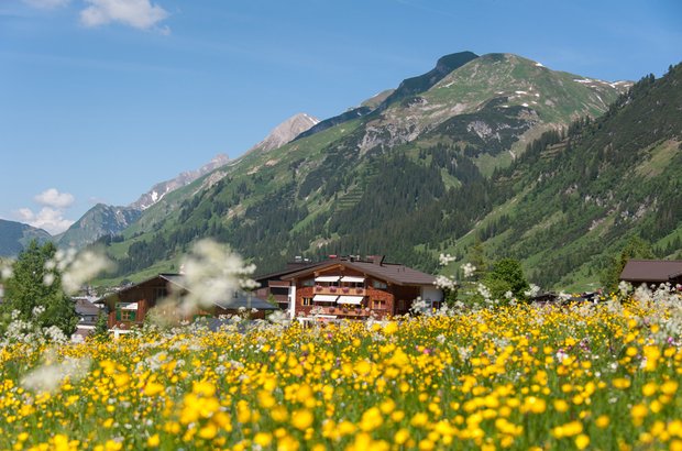 Haus Braunarl mit Blumenwiese