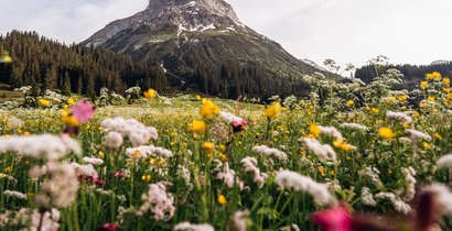 Bunte Almenwiese mit dem Ausblick auf das Omeshorn.