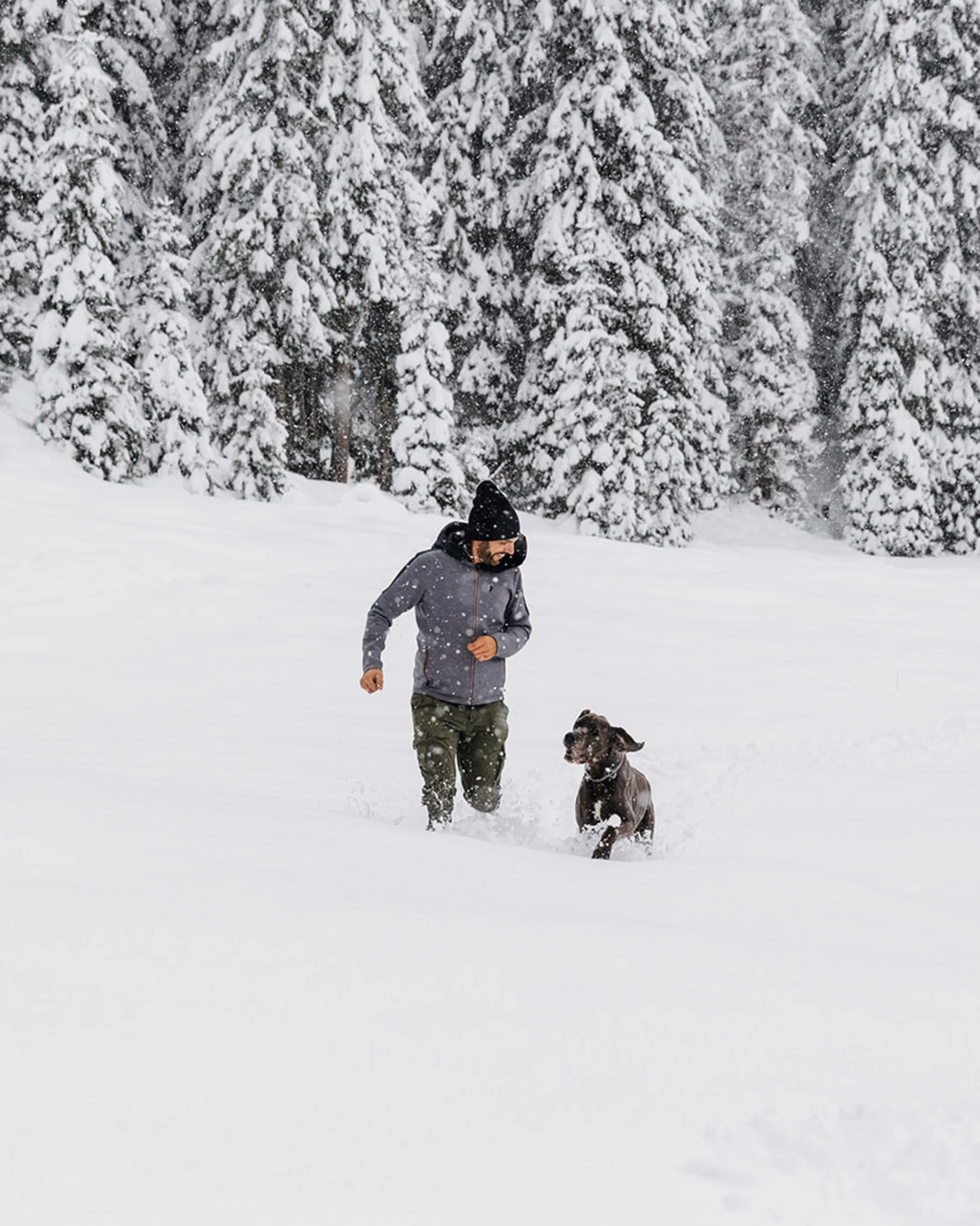 Person läuft mit Hund durch tiefen Schnee vor verschneiten Tannenbäumen