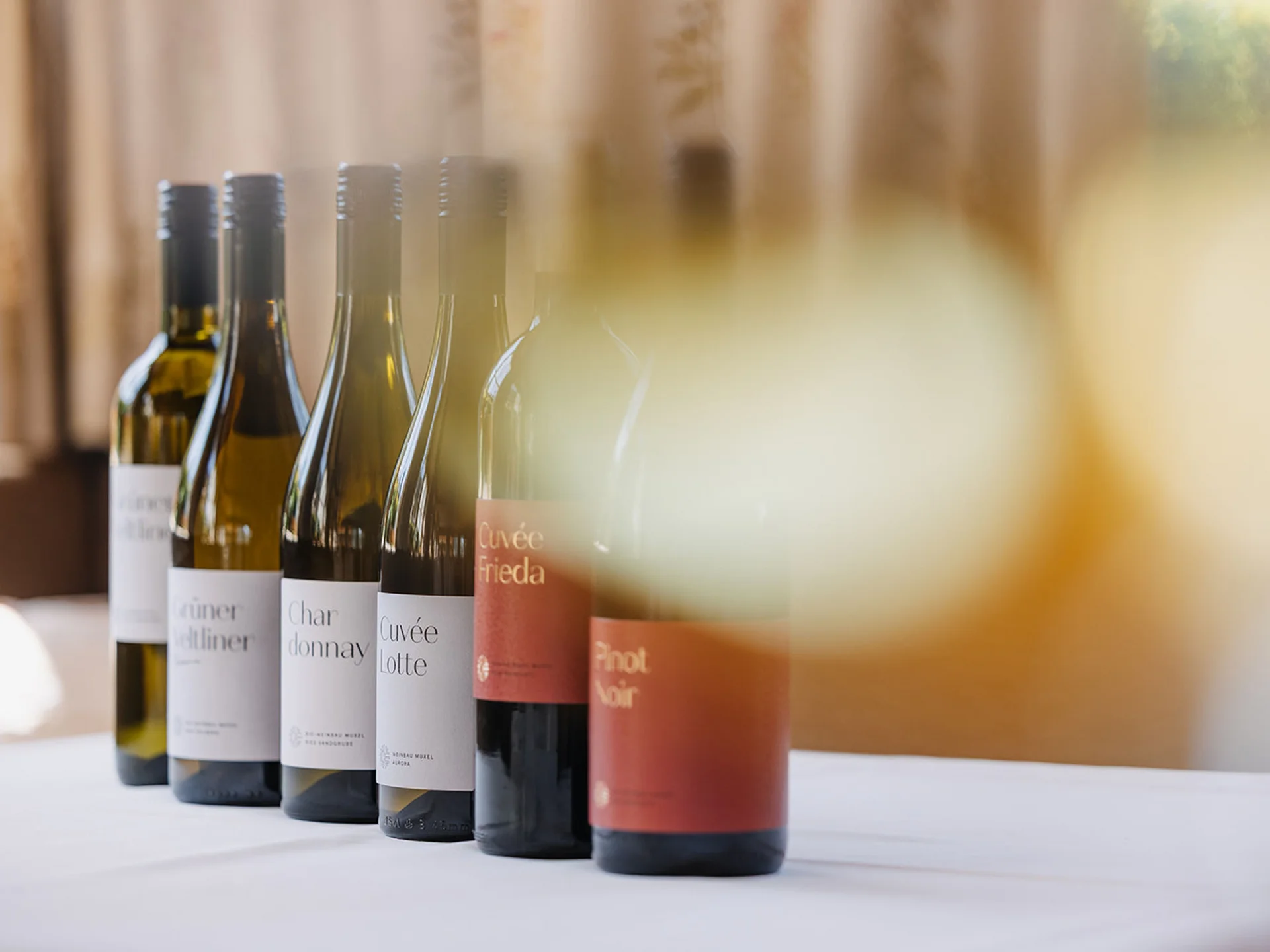 Row of six wine bottles on a white table with a curtain background