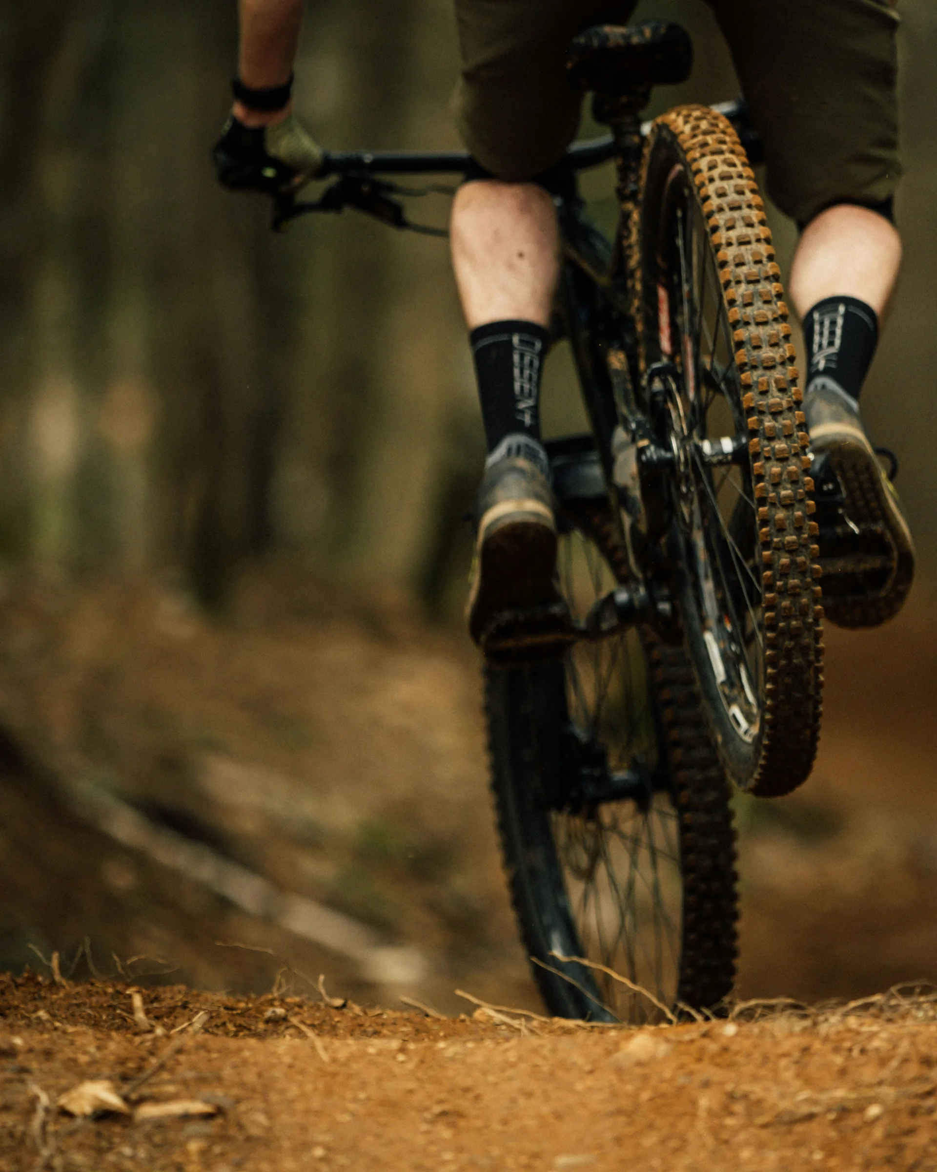 MTB in Lech am Arlberg