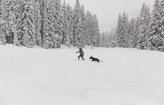 Mann spielt mit Hund im Schnee