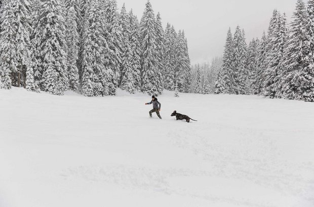 Mann spielt mit Hund im Schnee