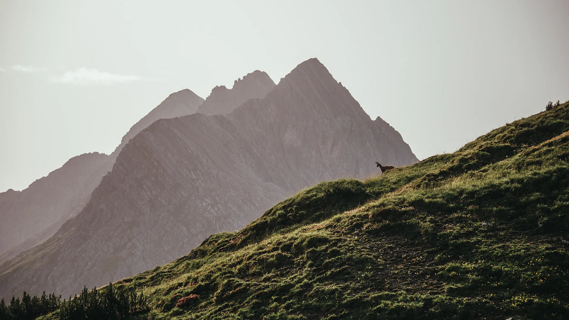 Aurora, Ihr Hotel in Lech am Arlberg